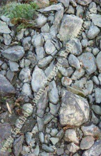 Natural picture10-[Superstar.wapath.com] 1